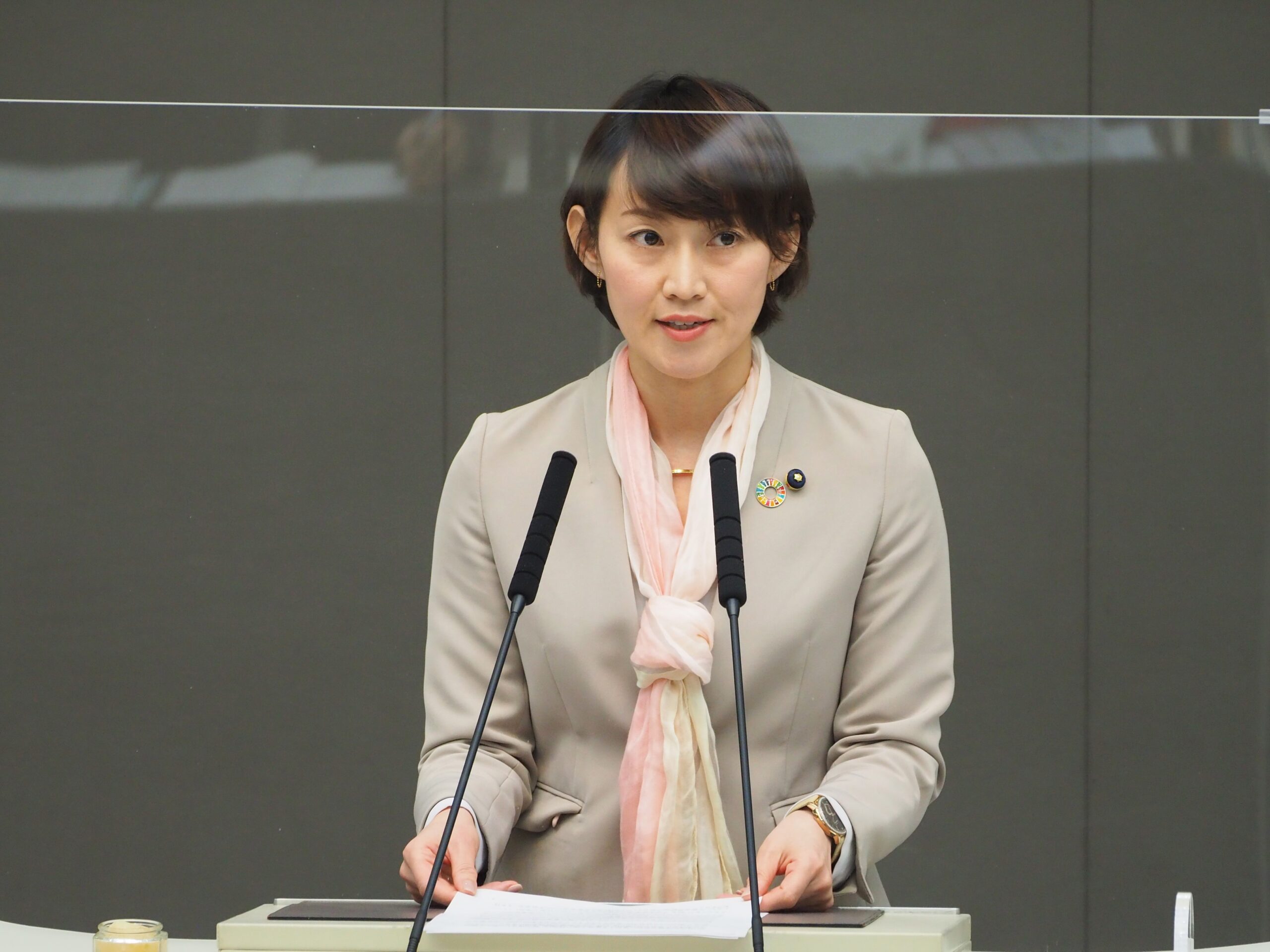 東京都議会2022年2月25日中継録画映像が公開